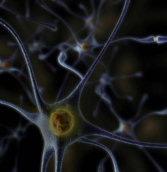 Cercetare_alzheimers