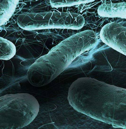 Cercetare_infectious
